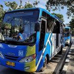 Bus TMP Kota Pekanbaru