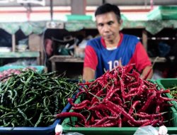 BPS Riau Mencatat Cabai Merah dan Emas Perhiasan Jadi Pendorong Utama Inflasi Riau