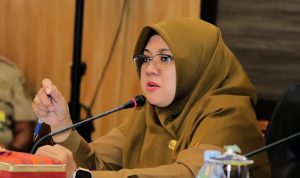 Bupati Siak Sri Indrapura, Afni Zulkifli