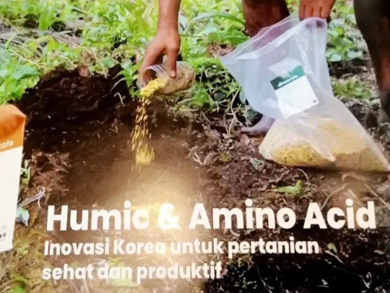 Mengapa Allinone Cote Disebut Pupuk Masa Depan Ini Keunggulan Teknologi 4R yang Direkomendasikan PBB